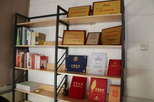 農(nóng)資經(jīng)銷商轉(zhuǎn)型技術(shù)服務(wù) 驅(qū)動農(nóng)業(yè)現(xiàn)代化的關(guān)鍵路徑